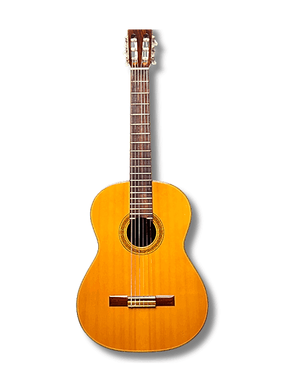 LOLADA Müzik Dersleri Eğitim Kursları Kartal İstanbul Türkiye